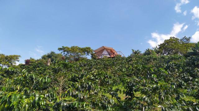 Glamping Orosierra Hotel Chinchiná Exterior photo