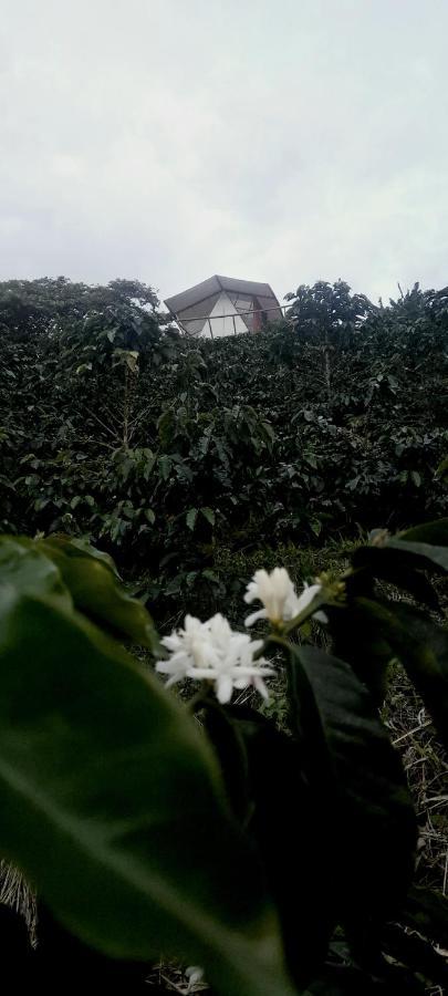 Glamping Orosierra Hotel Chinchiná Exterior photo